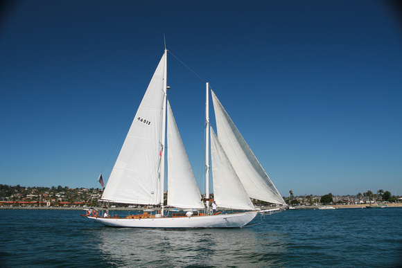 Curlew (USA) 82' schooner