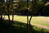 Volleyball Fields