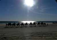 Camel Ride in Broom, Australia